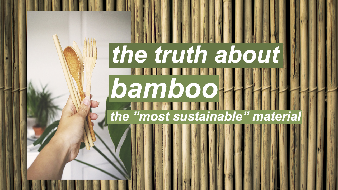 THE IMPACT OF BAMBOO // the most sustainable material?